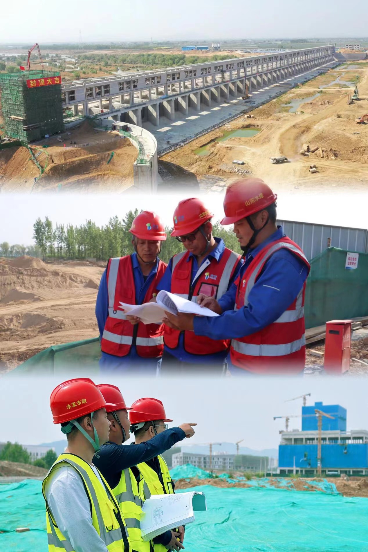 1713519303216207.jpg 1713519303216207.jpg